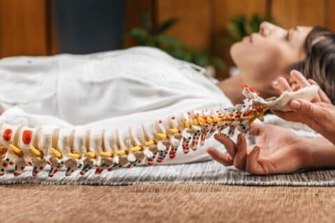 A Coluna Vertebral Estrutura, funções e importância no corpo humano