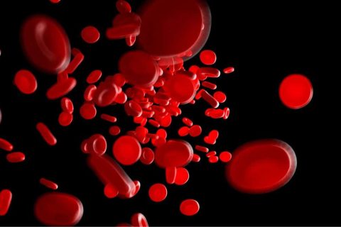Anemia na Gestação