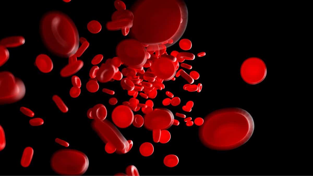 Anemia na Gestação