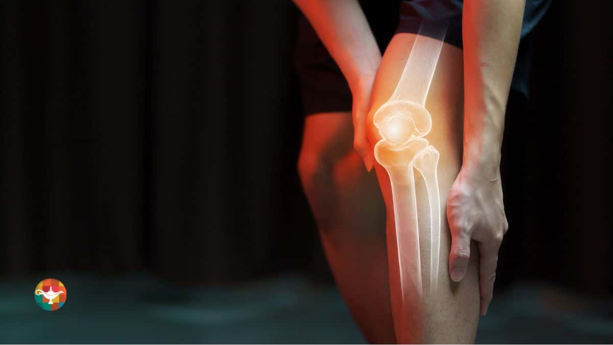 Articulações: Estrutura, Funções e Importância no Sistema Músculo-Esquelético