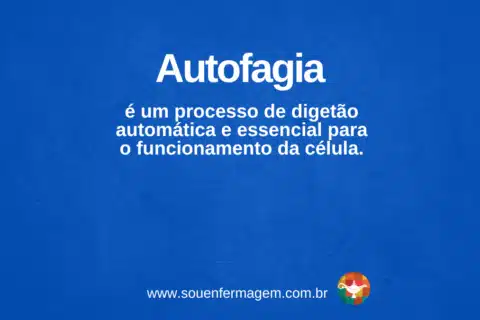 Autofagia - Termo técnico de enfermagem