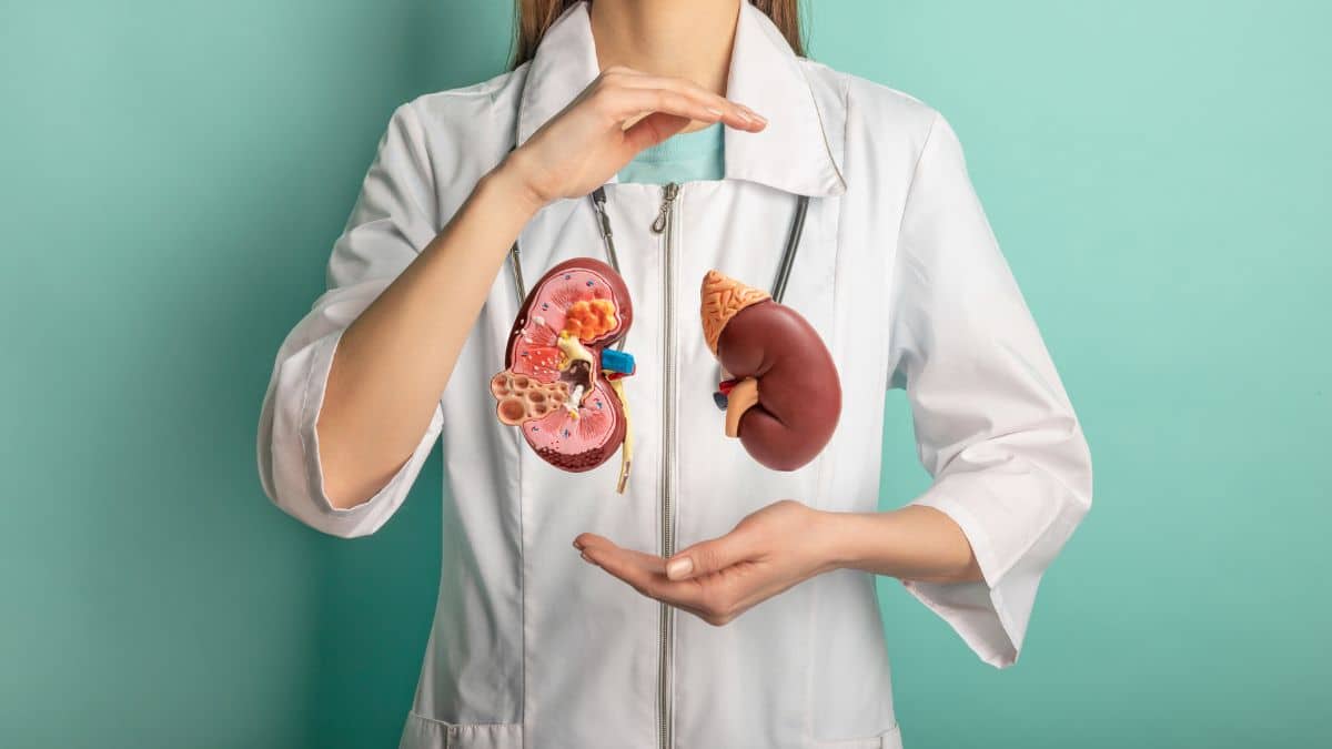 Cirurgia Renal