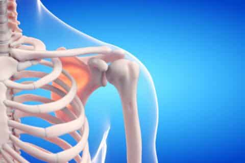 Costelas: Anatomia e Classificação