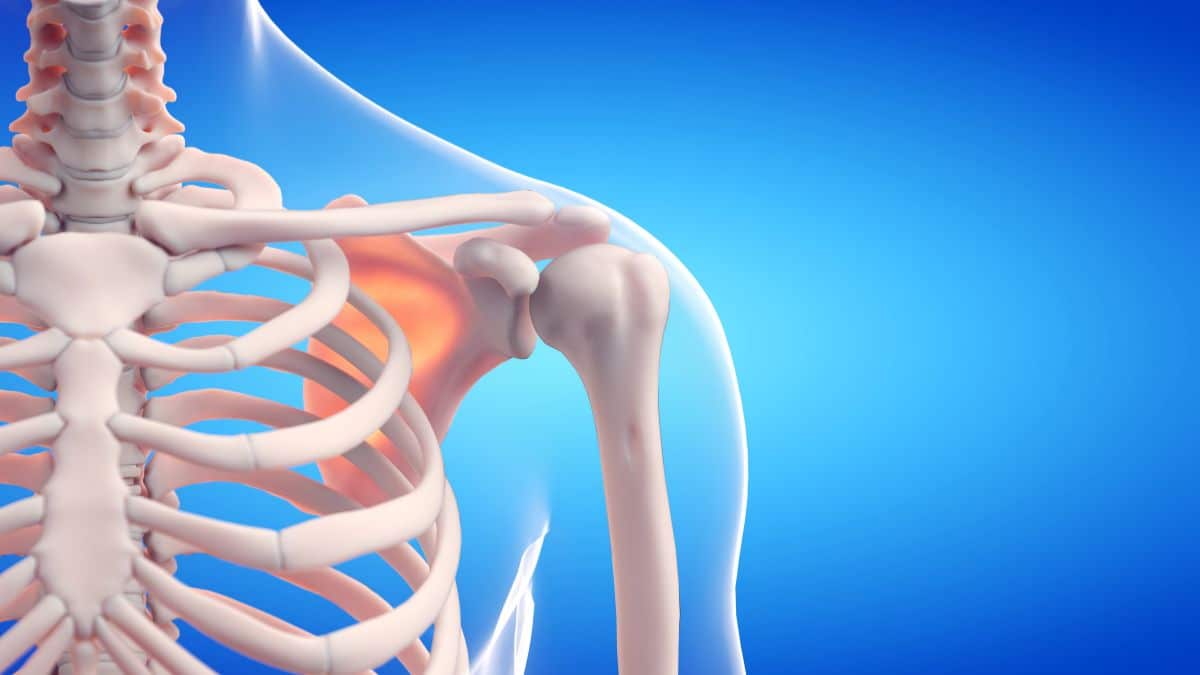 Costelas: Anatomia e Classificação