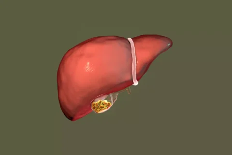 Hepatite B
