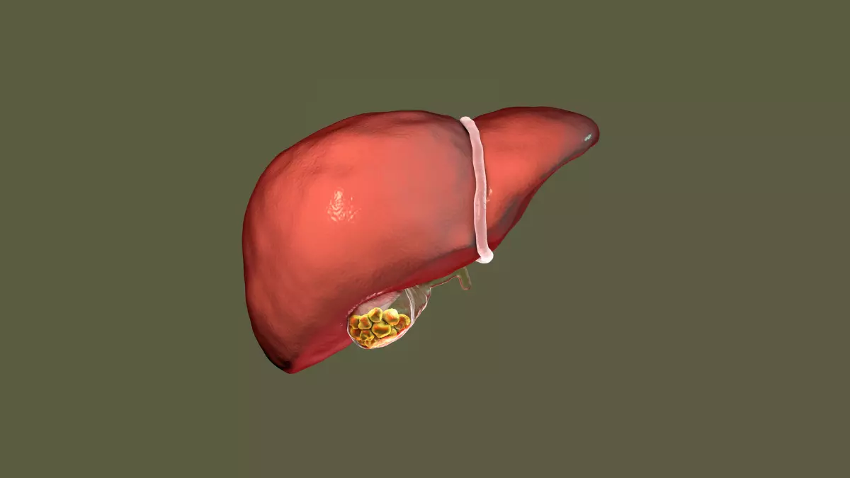 Hepatite B