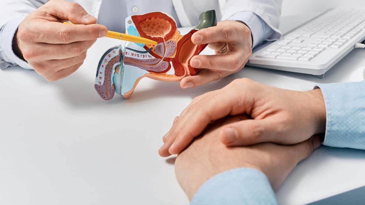 O que é orquite, epididimite e orquiepididimite?