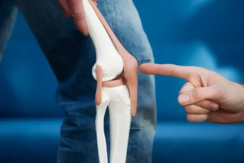 Patela Anatomia e Funções
