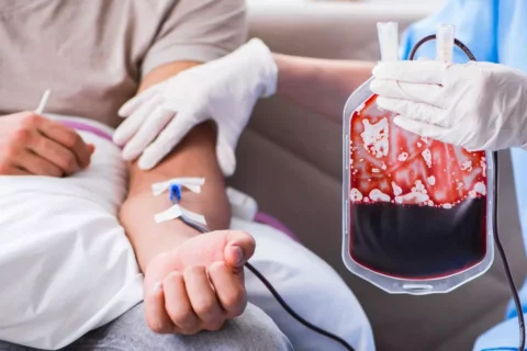 Sangue: Nutriente da vida
