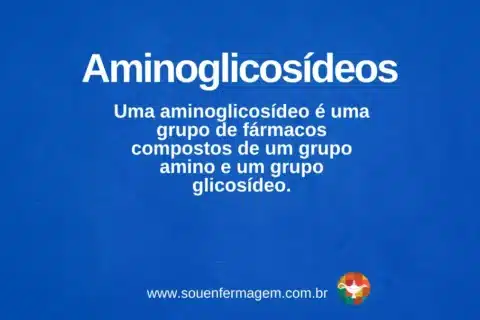 Aminoglicosídeos - Termo técnico de enfermagem