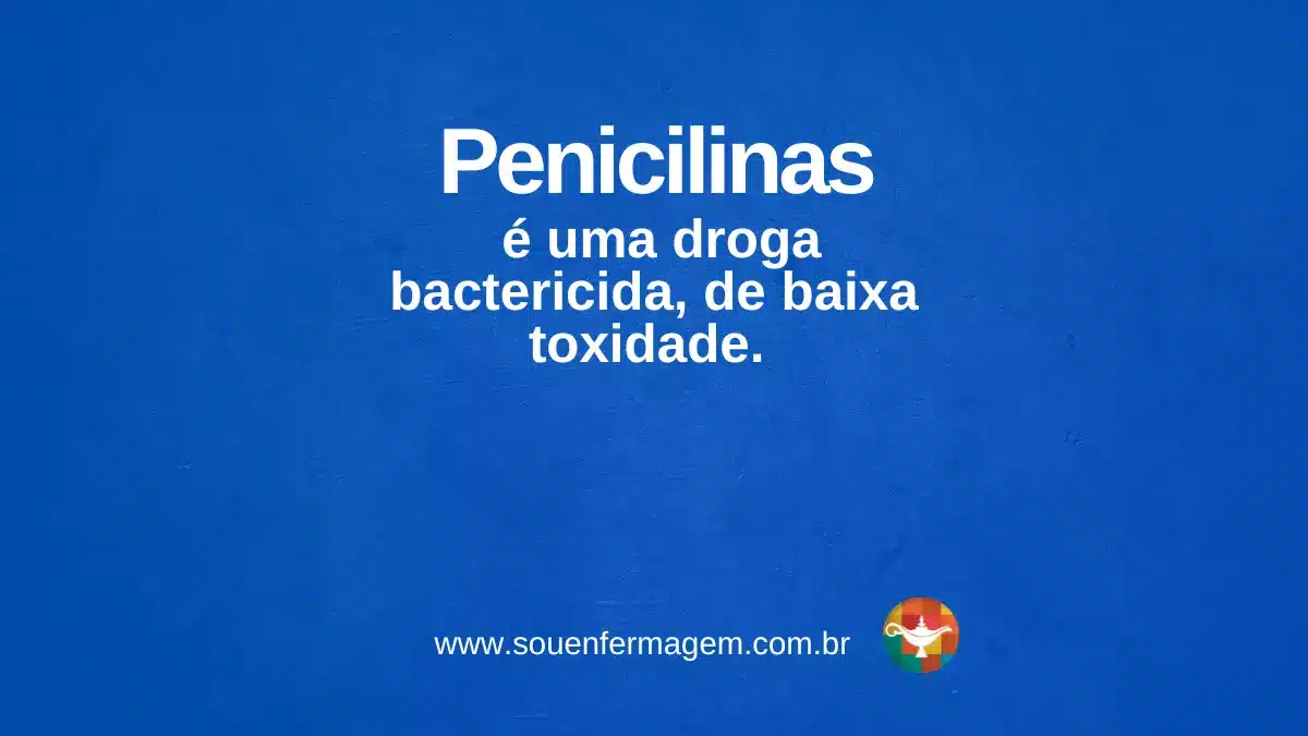 penicilinas - TERMOS TÉCNICOS DE ENFERMAGEM