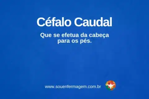 Céfalo Caudal - termo técnico de enfermagem