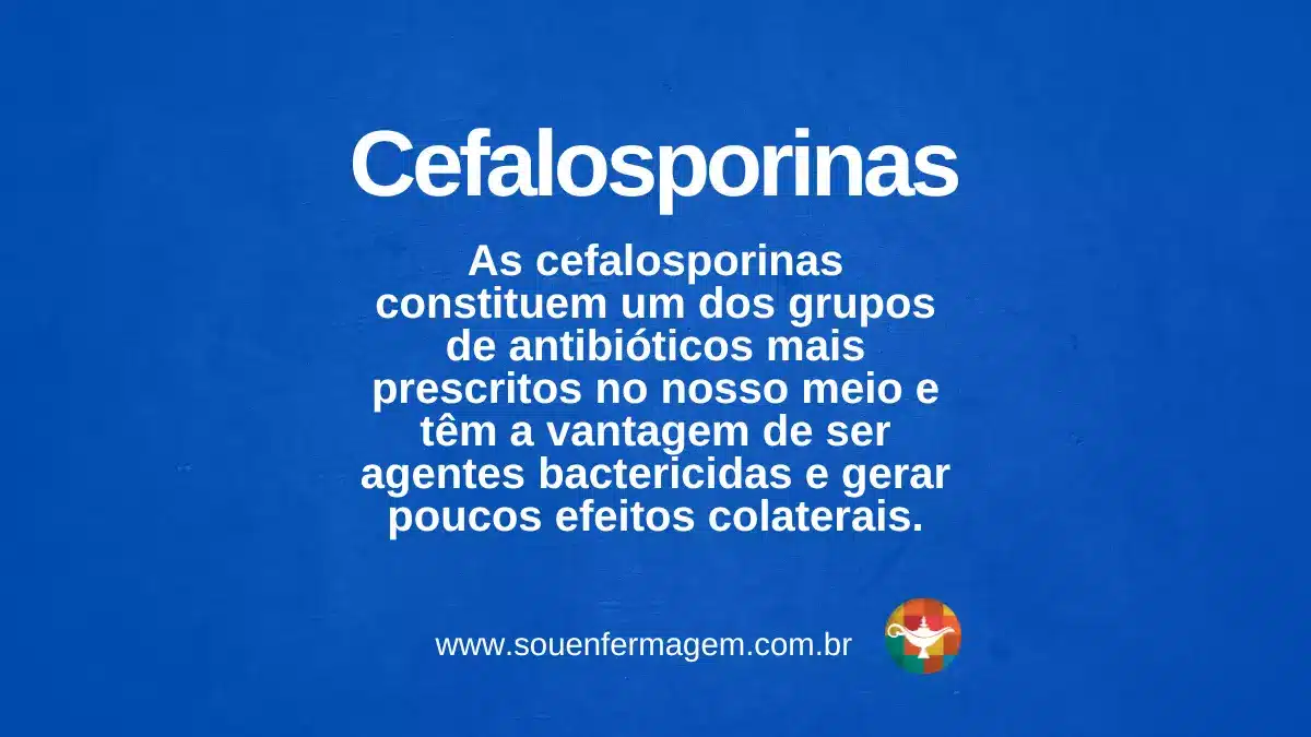 Cefalosporinas - termo técnico de enfermagem
