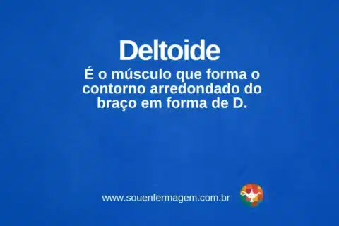 Deltoide - termo técnico de enfermagem
