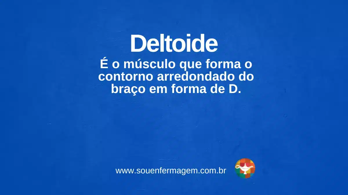 Deltoide - termo técnico de enfermagem