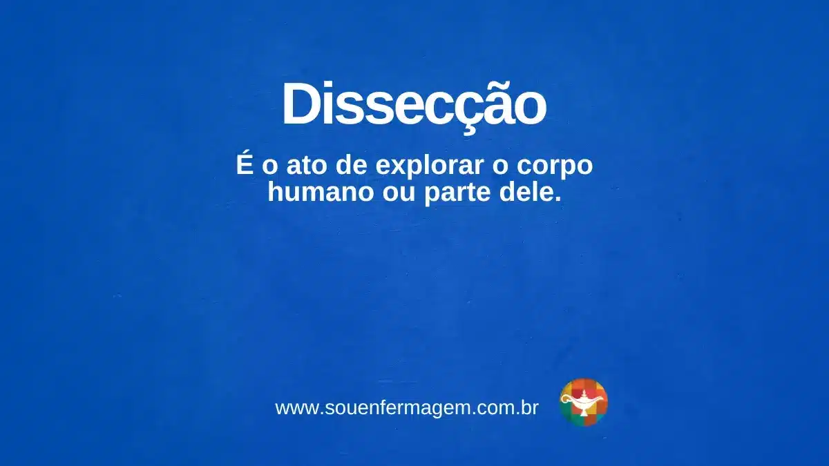 Dissecção - termo técnico de enfermagem