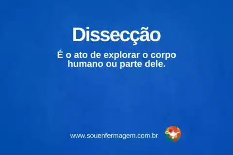 Dissecção - termo técnico de enfermagem