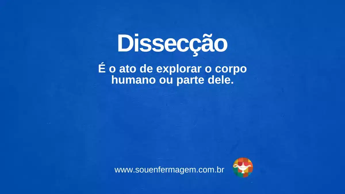 Dissecção - termo técnico de enfermagem