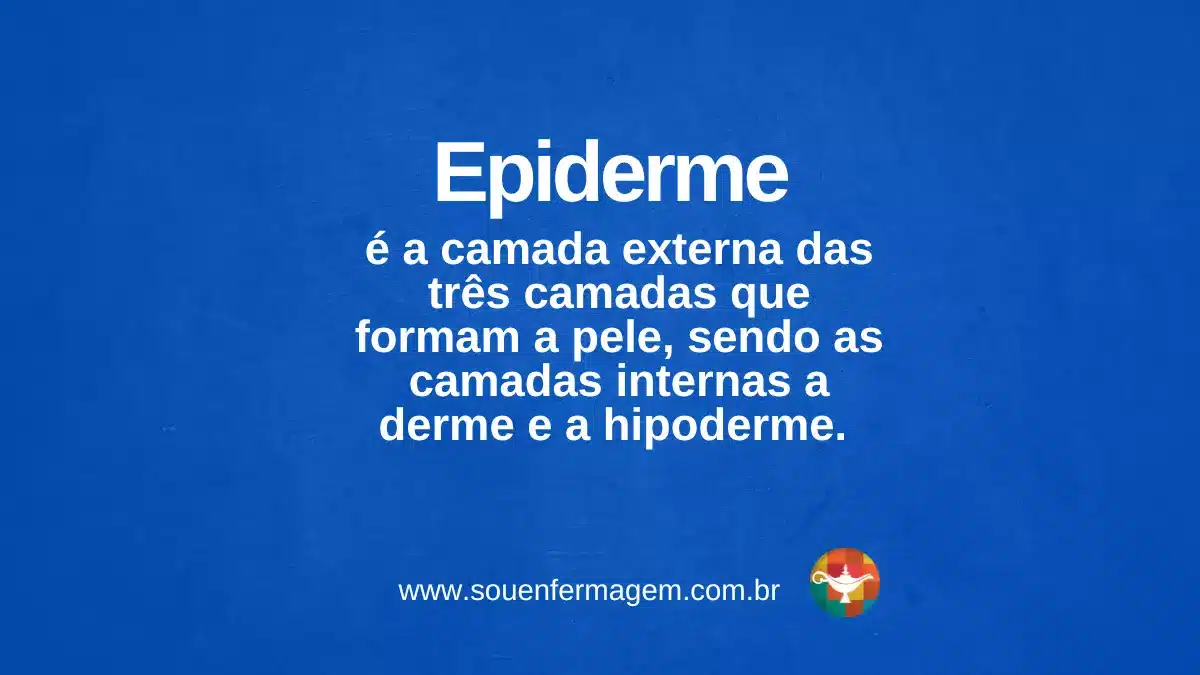 Epiderme - termo técnico de enfermagem