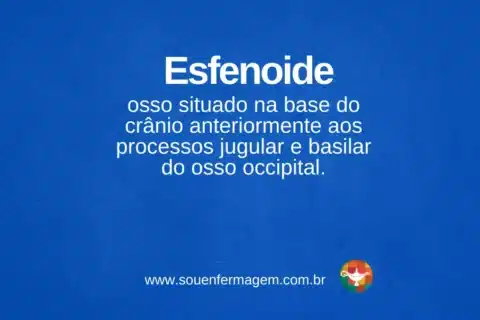 Esfenoide - termo técnico de enfermagem