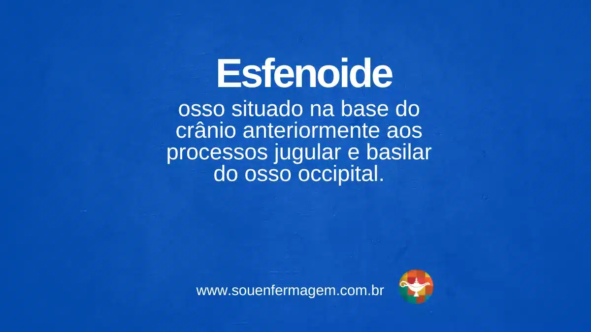 Esfenoide - termo técnico de enfermagem