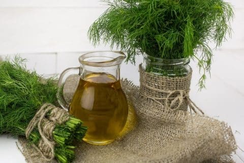 oleos vegetais