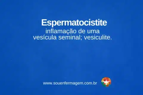 Espermatocistite - termo técnico de enfermagem
