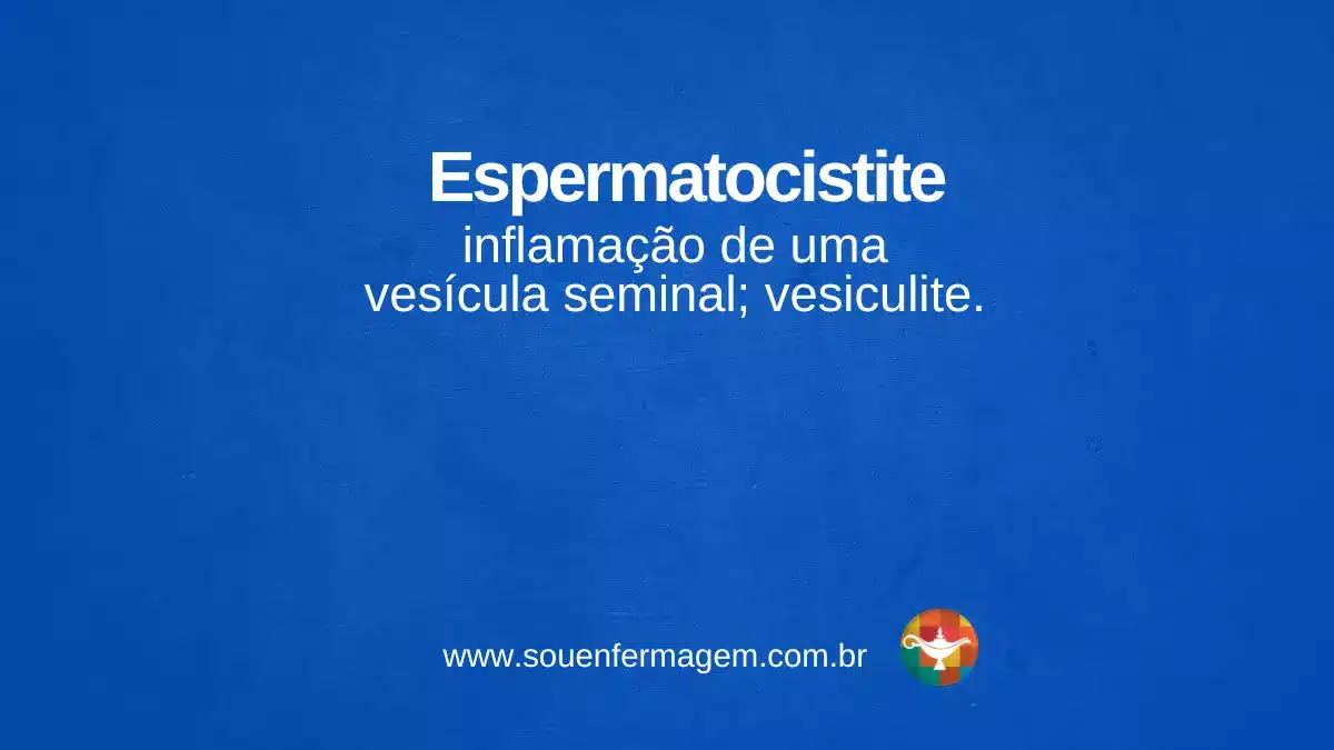 Espermatocistite - termo técnico de enfermagem