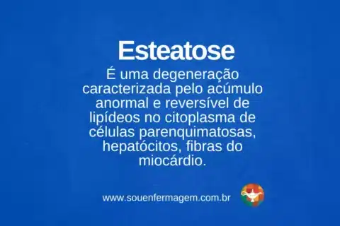 Esteatose - termo técnico de enfermagem