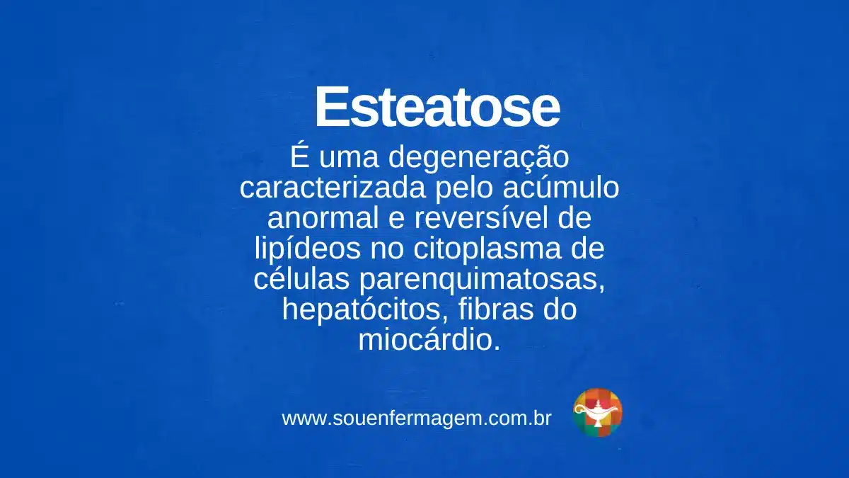 Esteatose - termo técnico de enfermagem