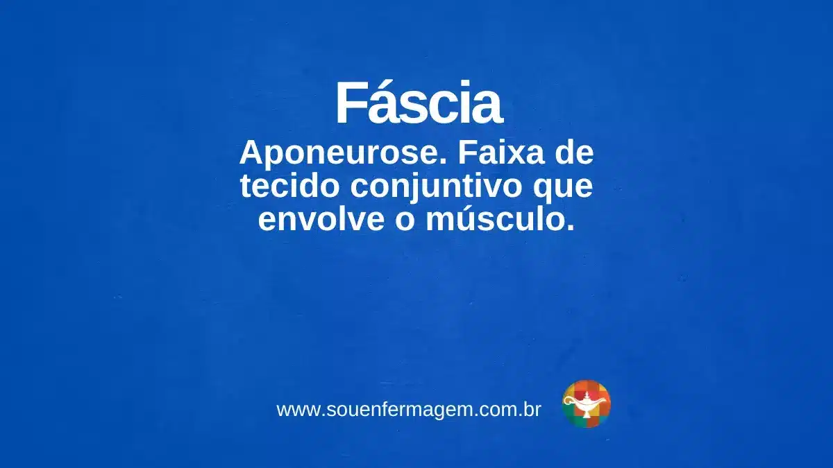 Fáscia - termo técnico de enfermagem
