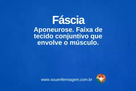 Fáscia - termo técnico de enfermagem
