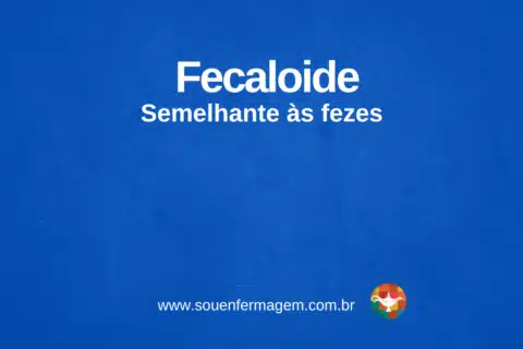 Fecaloide - termo técnico de enfermagem