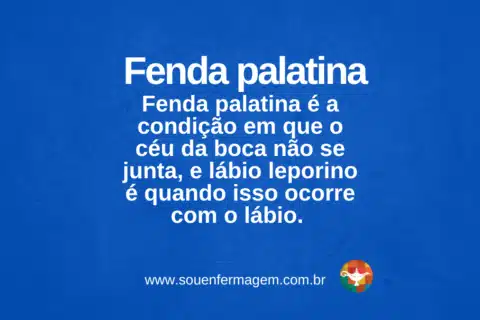 Fenda-palatina - termo técnico de enfermagem