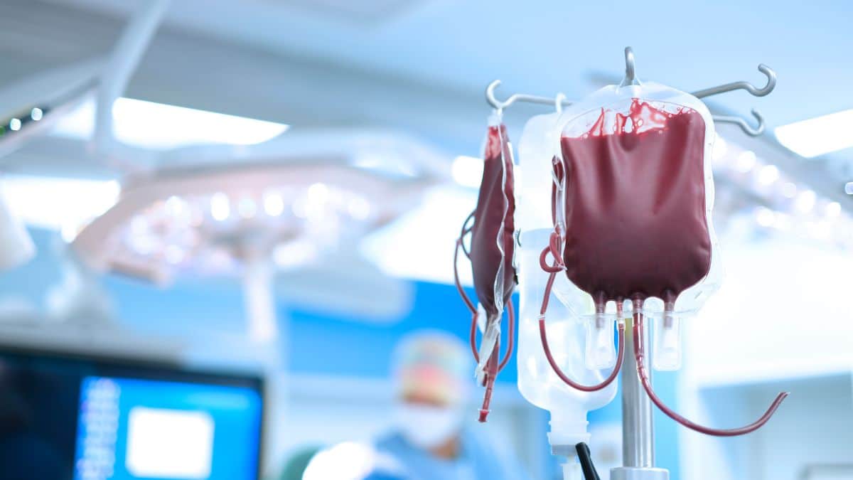 Quem não pode doar sangue