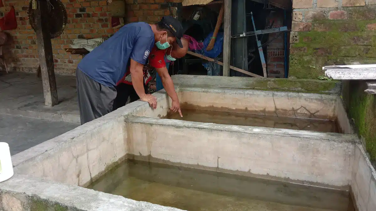 Por que o vírus zika causou um surto de microcefalia?