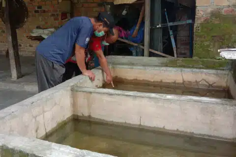 Por que o vírus zika causou um surto de microcefalia?