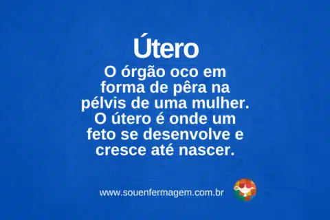Útero - TERMO TÉCNICO ÓRGÃO HUMANO FEMININO
