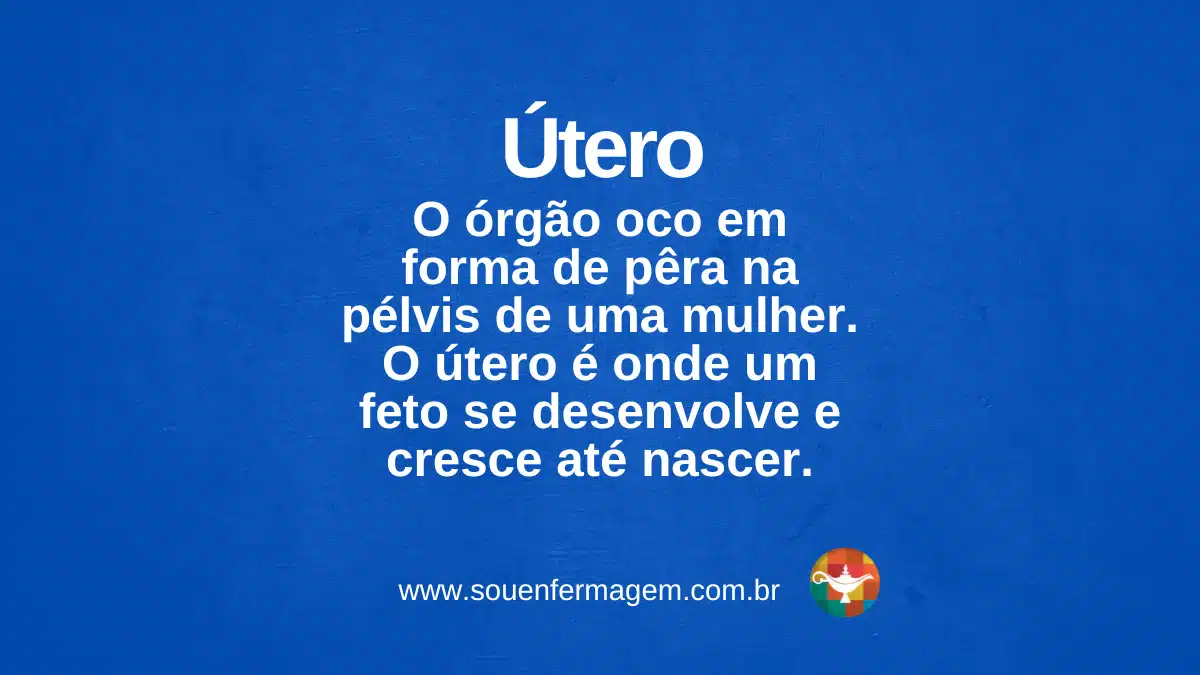 Útero - TERMO TÉCNICO ÓRGÃO HUMANO FEMININO