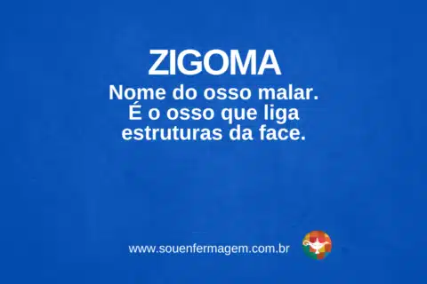 ZIGOMA - termo técnico