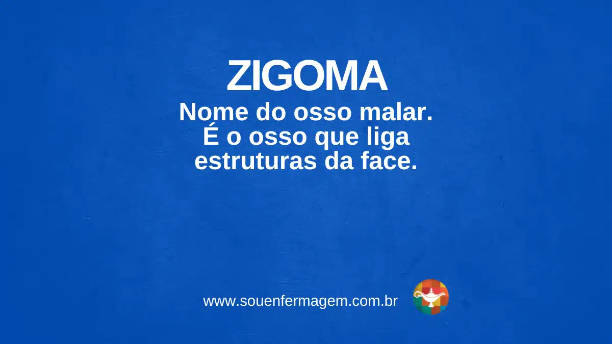 ZIGOMA - termo técnico