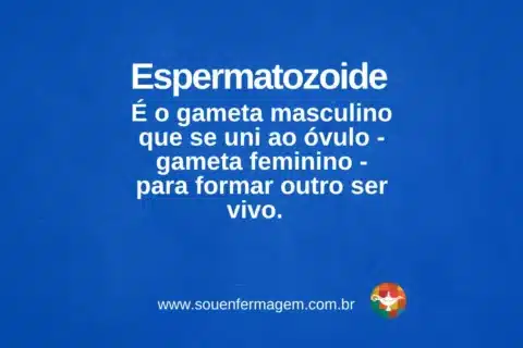 espermatozoide