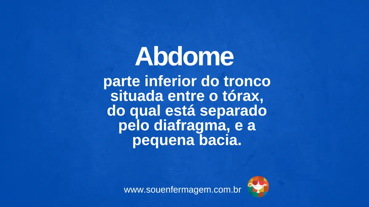 Abdome - Termos Técnicos de Enfermagem