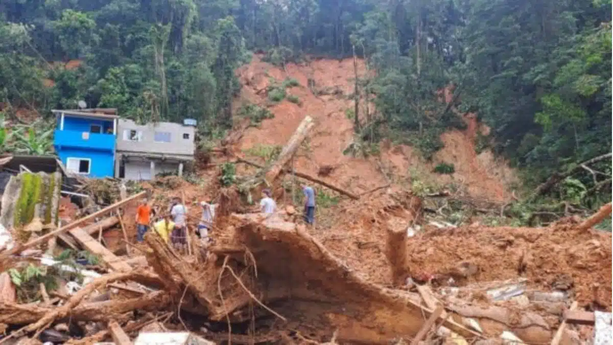 Cofen e Coren-SP lançam formulário para apoiar profissionais no Litoral Norte de SP