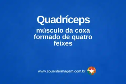 Quadríceps - Letra Q