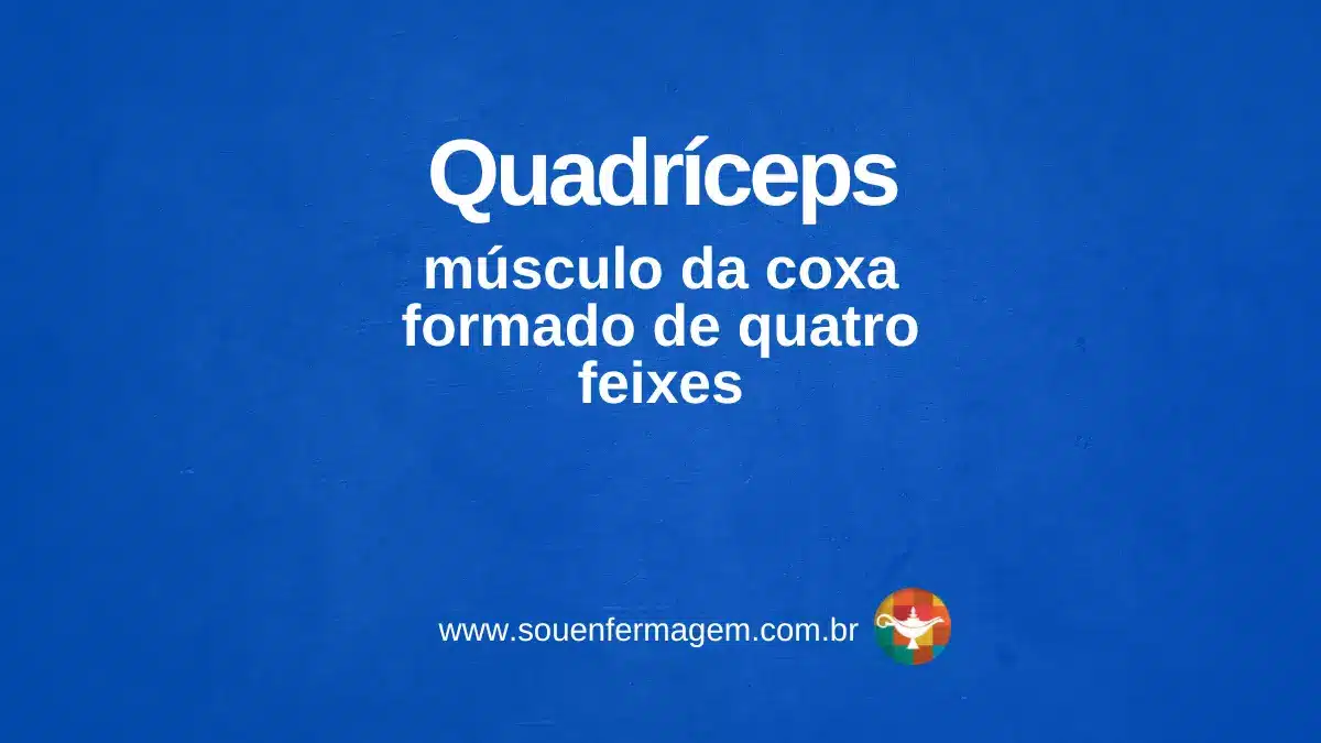 Quadríceps - Letra Q