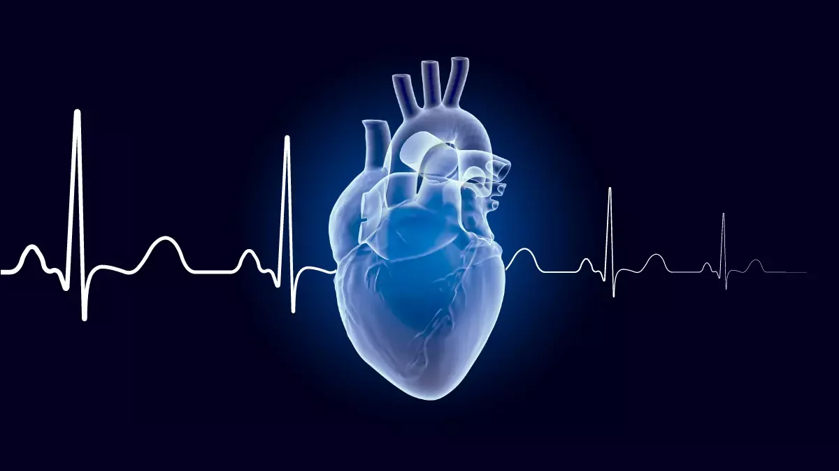 Análise da Ativação Ventricular