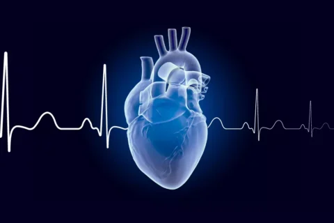Análise da Ativação Ventricular