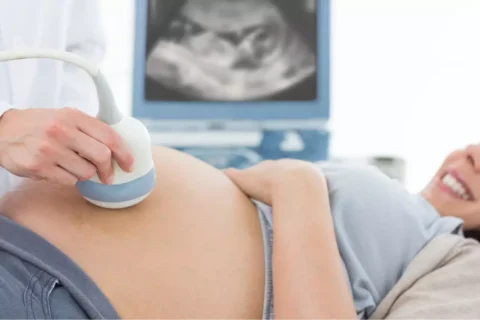 Calcular Idade Gestacional (IG) online