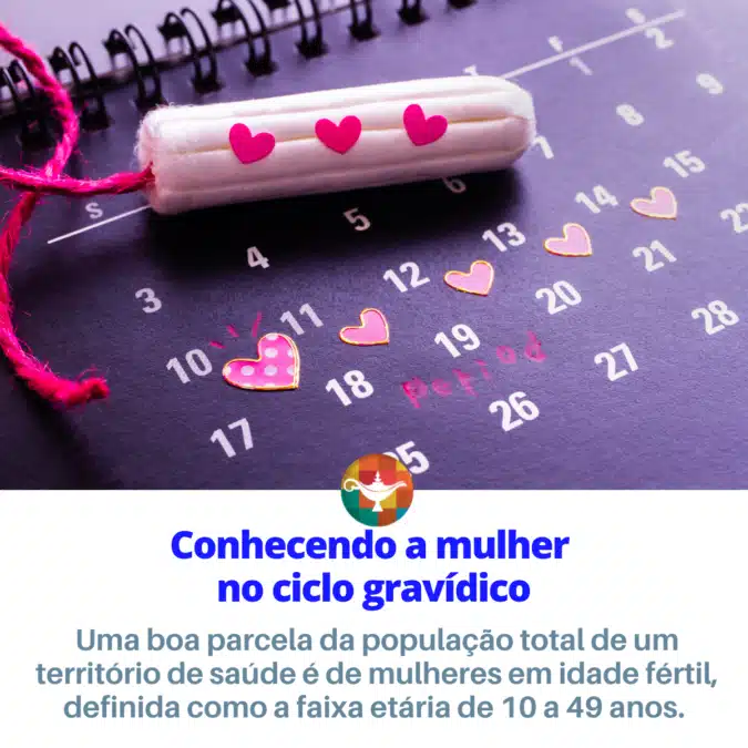 Conhecendo a mulher no ciclo gravídico